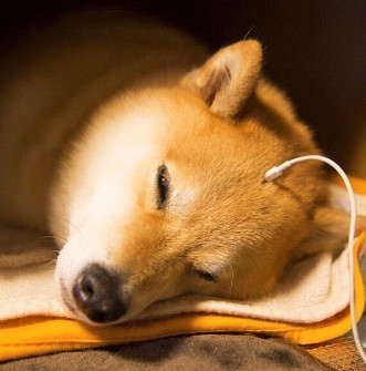 2018-04-05 PM 12-06-34.jpg