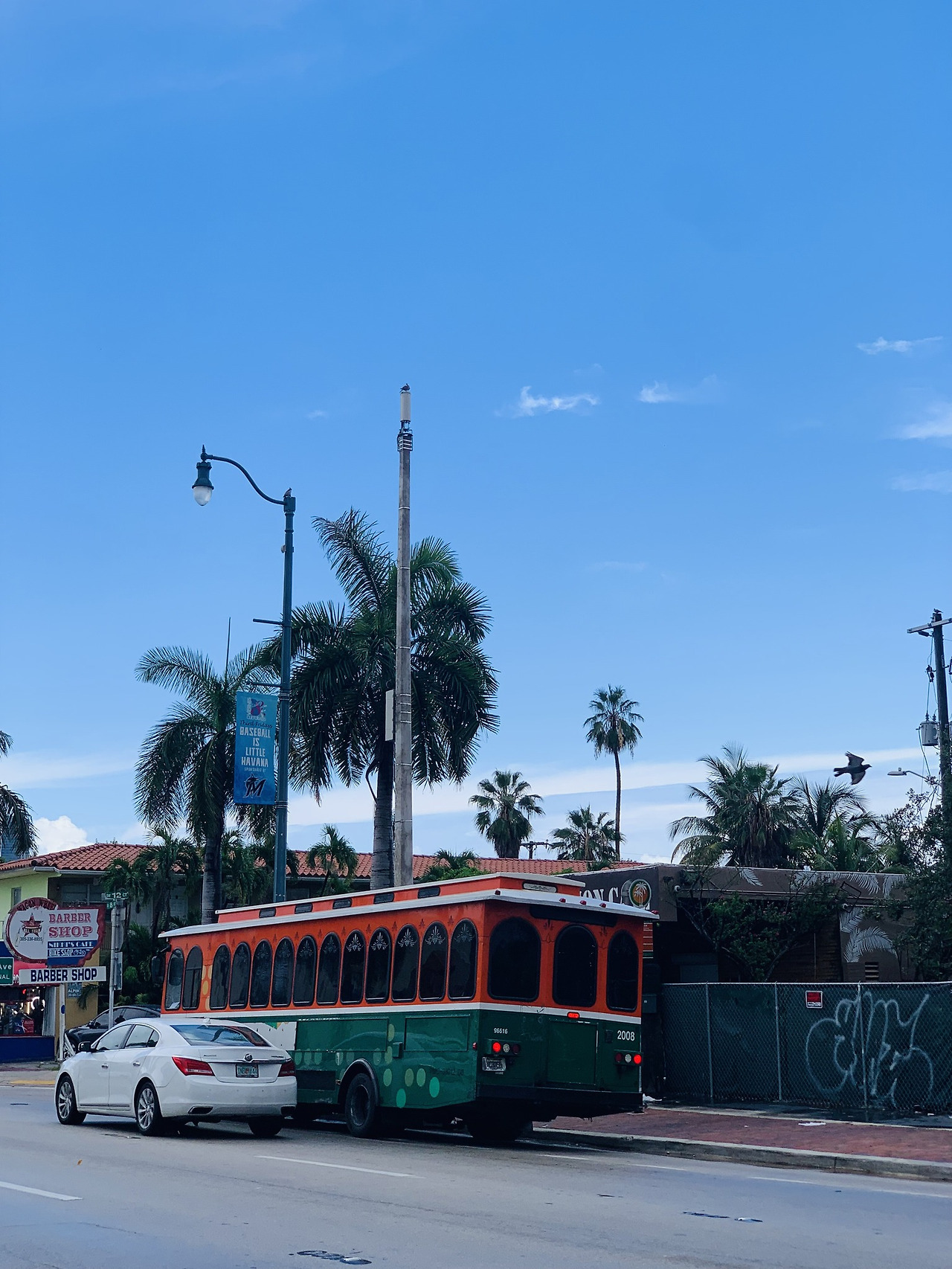 리틀 하바나2.jpg