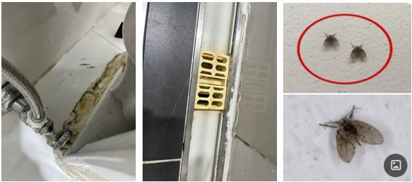 화면 캡처 2025-08-12 140252.jpg