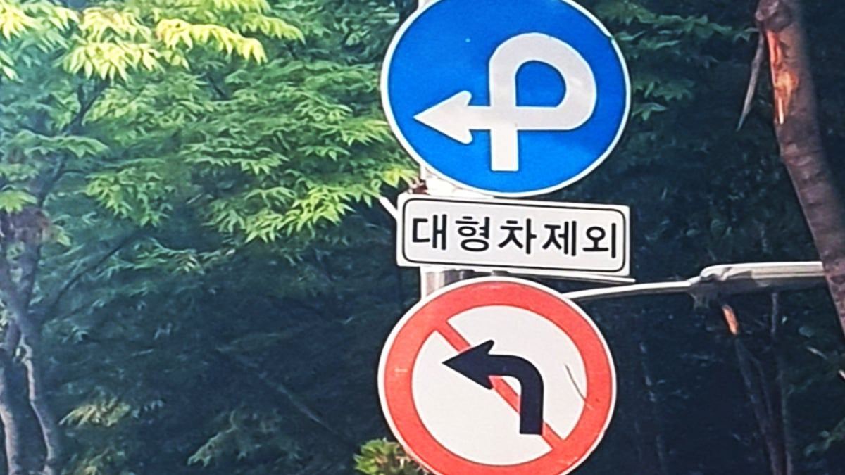 p-turn-traffic-sign-meaning-korea2.jpg