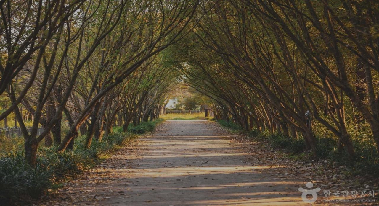 천년의숨결이머무는숲_4.jpg