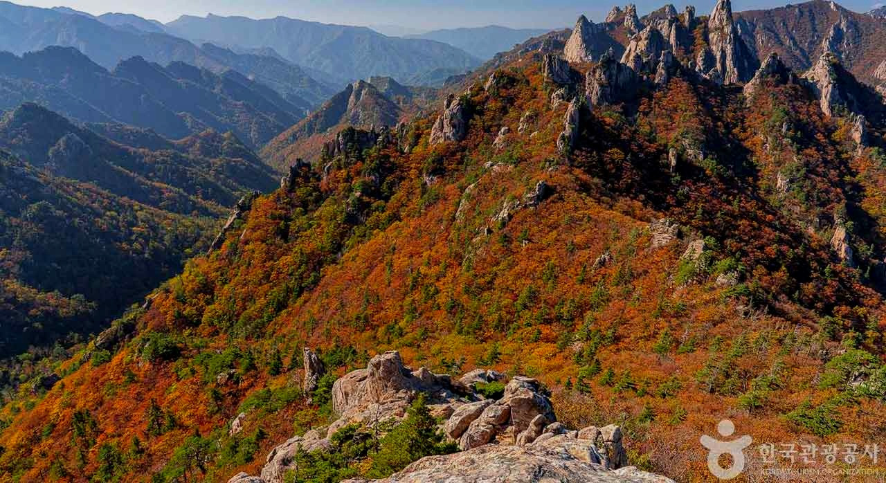 올가을단풍은언제가제_1.jpg