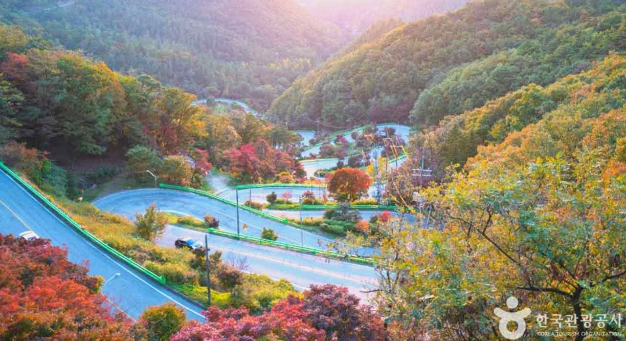 가을드라이브끝판왕1_0.jpg