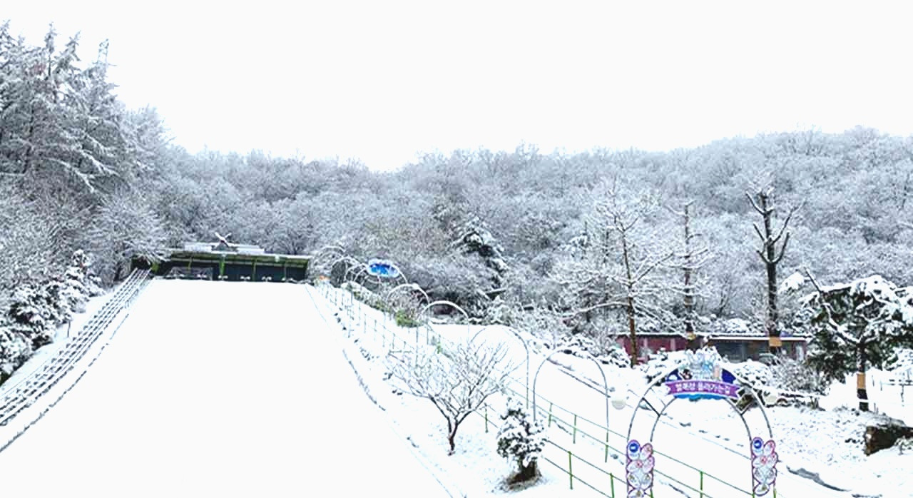 강화에눈썰매장오픈올_1.jpg