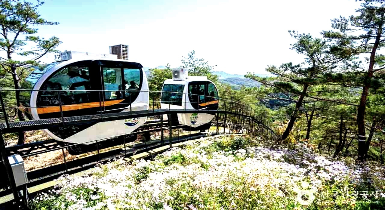 숲캉스부터모노레일까_3.jpg