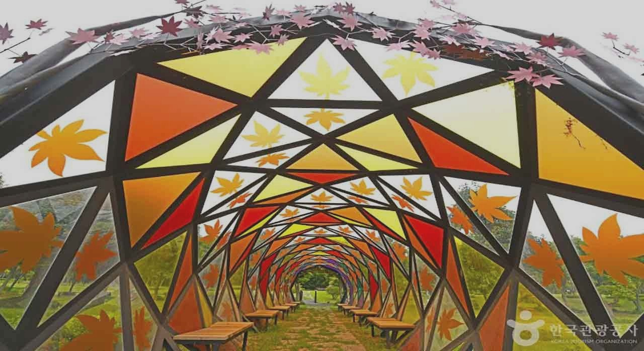 올해단풍어디로갈까내_0.jpg