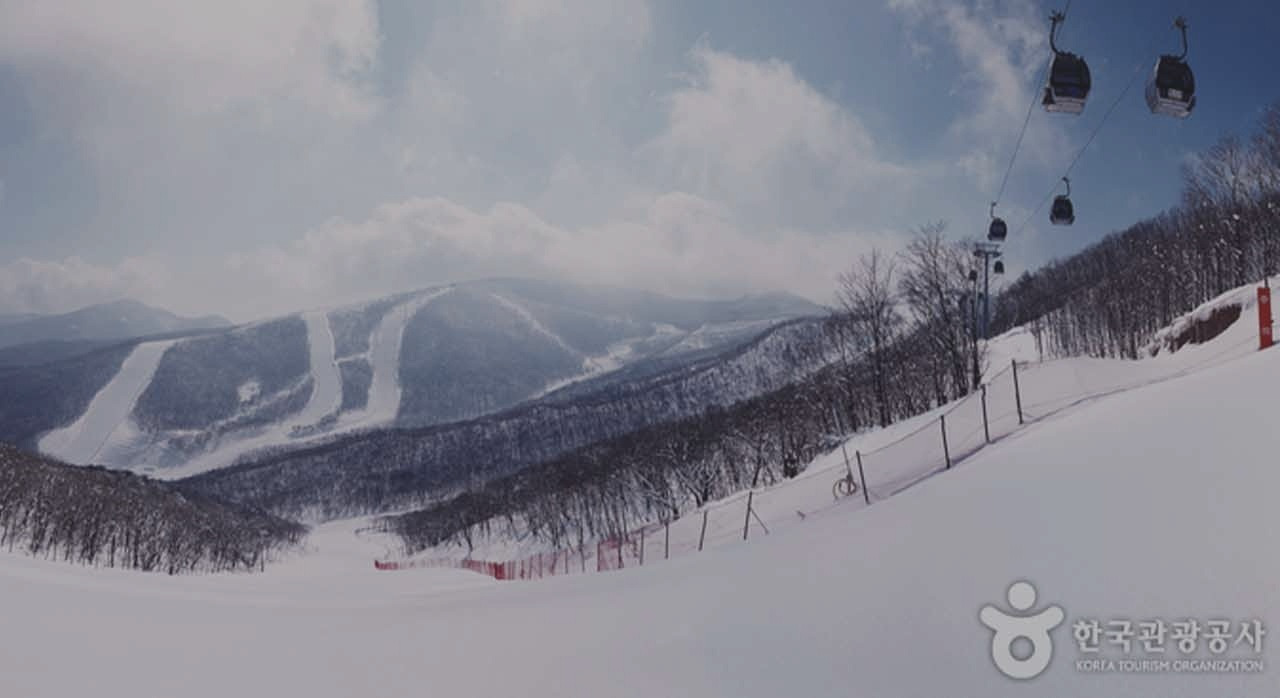 스키장개장은언제강원_1.jpg