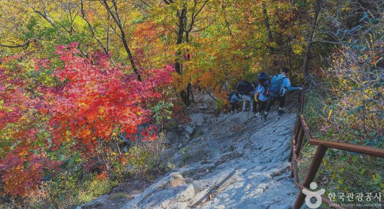 단풍보러가자강원도4_0.jpg