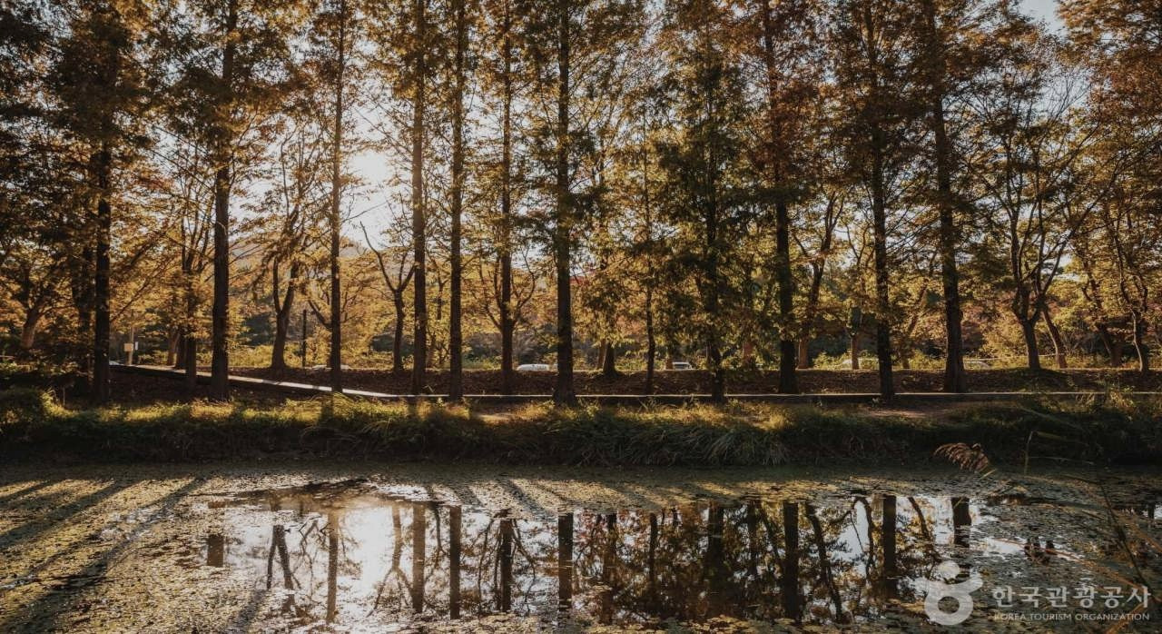 천년의숨결이머무는숲_1.jpg