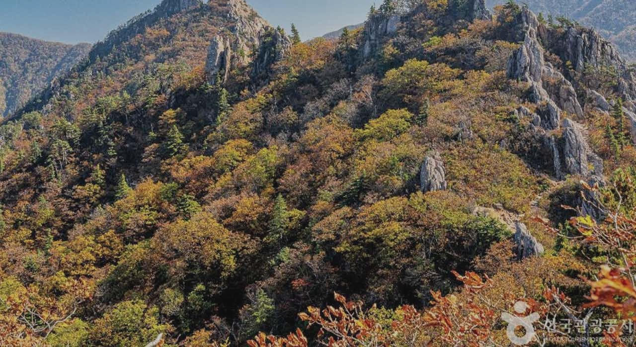 단풍보러가자강원도4_1.jpg