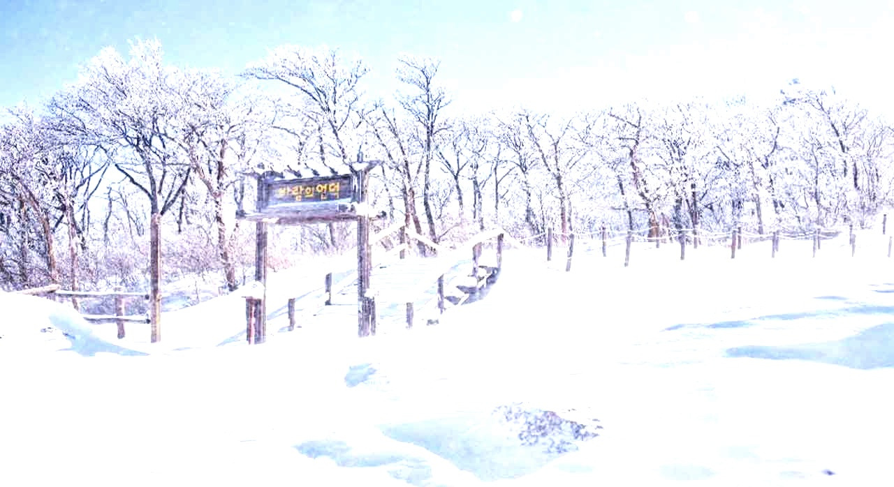 겨울이더아름다운국내_1.jpg