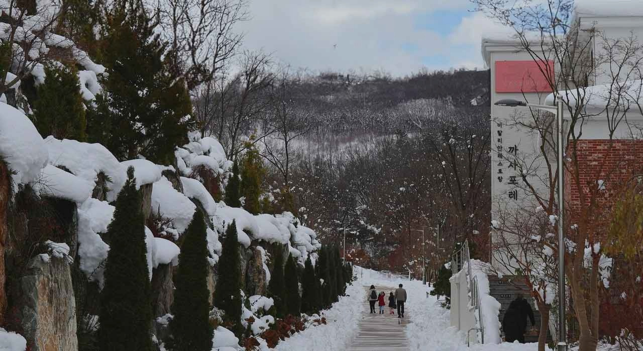 올겨울입장료공짜용인_2.jpg