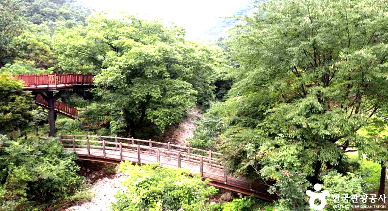 국립금산자연휴양림전_1.jpg