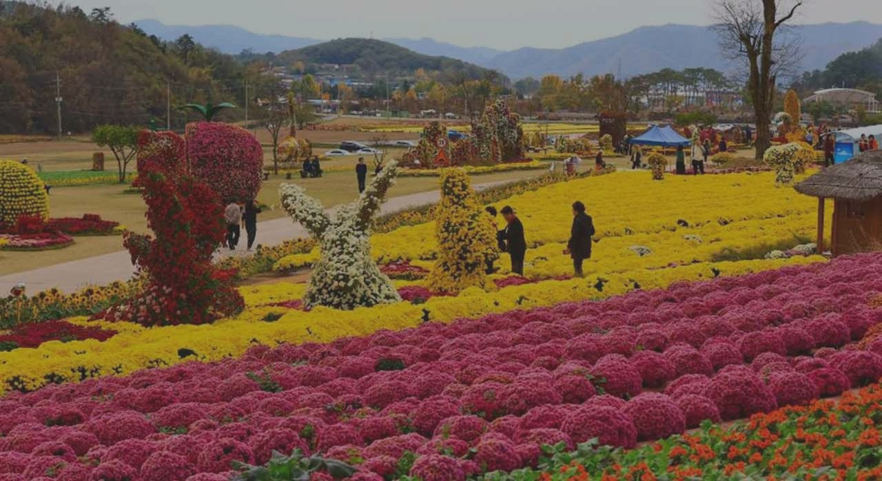 꽃으로피어나는선사시_1.jpg