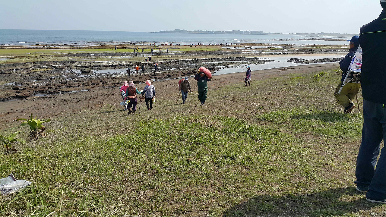 광치기 해안1.jpg