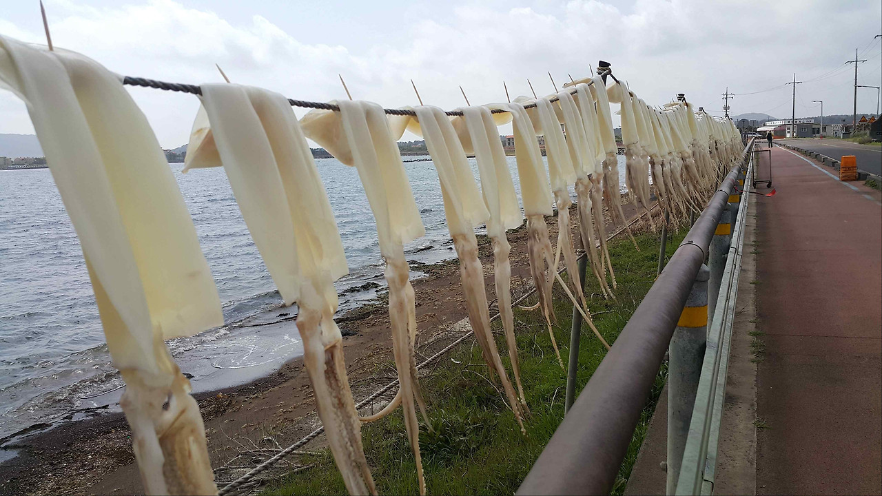 1코스 오징어.jpg