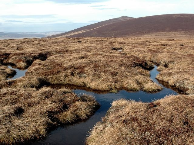 Peat_Bog_on_Summit_of_Hill_of_Snowy_Slack_-_geograph.org.uk_-_2296814.jpg
