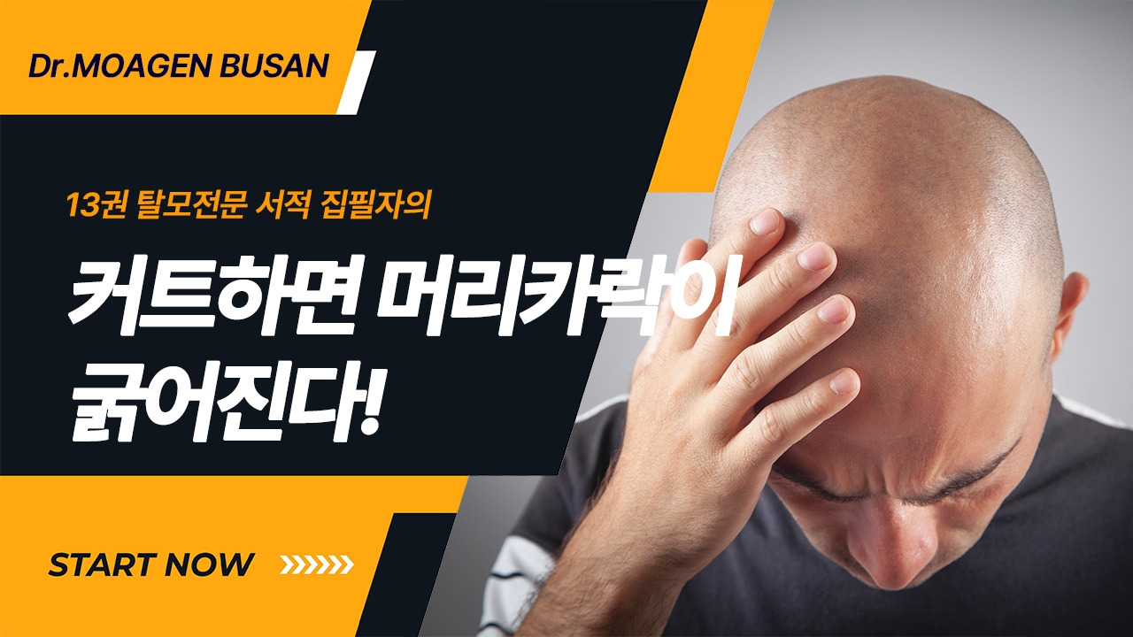 커트하면 머리카락이 굵어진다.jpg