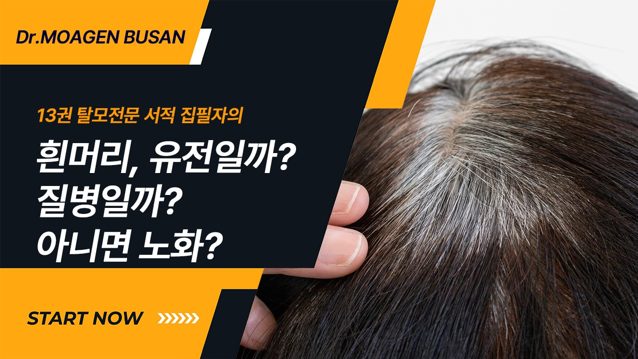 14-흰머리 유전일까 질병일까.jpg