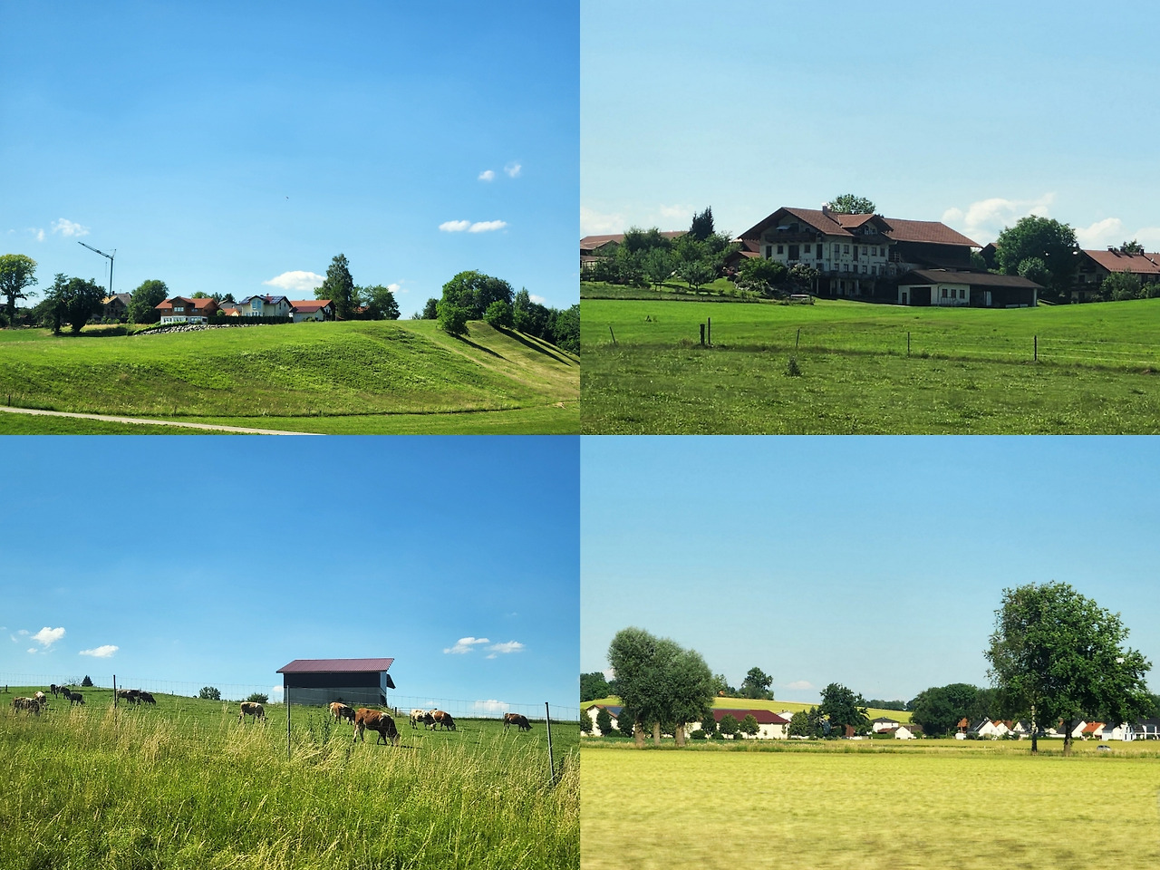 20250629_독일의 전원 풍경.jpg