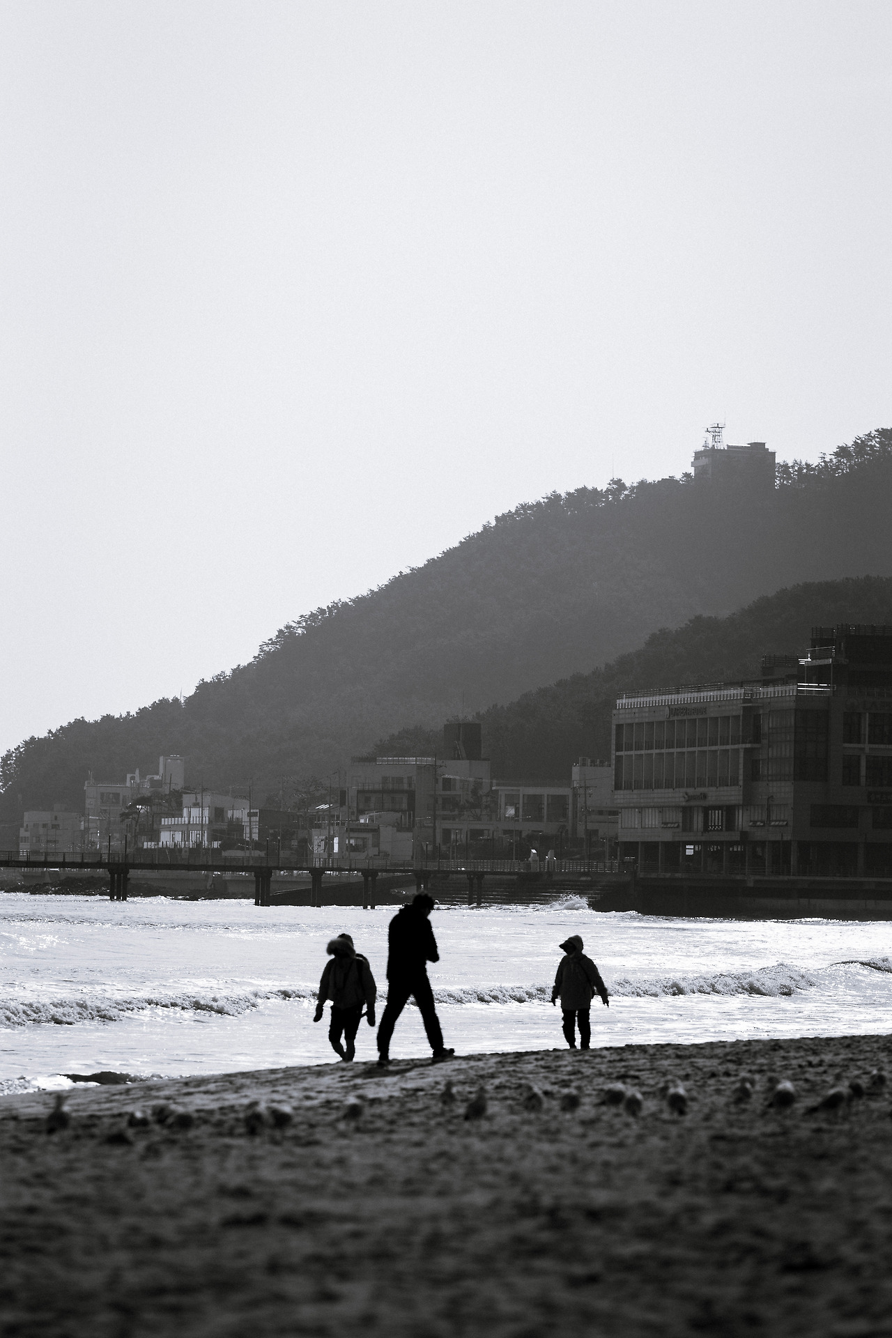 JANG2792 복사.jpg