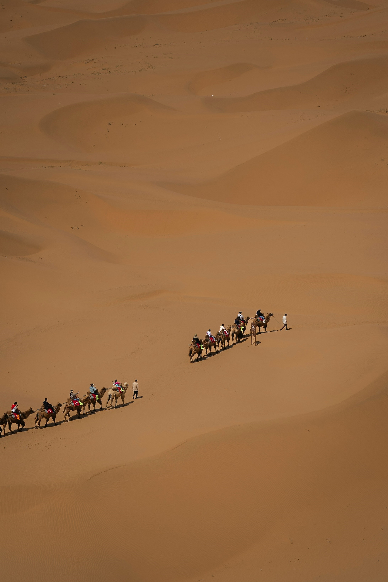 카라반 행렬.jpg