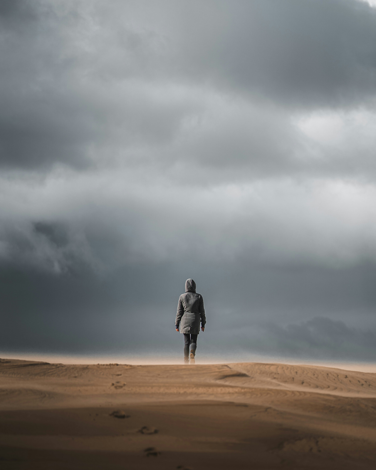 모래폭풍속의 남자.jpg