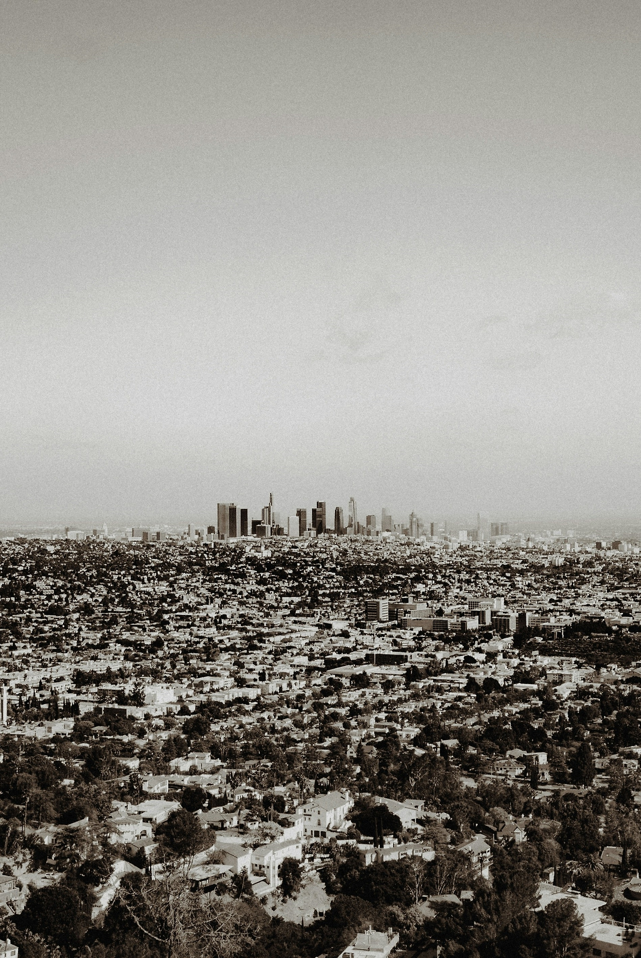 전통마을과 현대도시.jpg