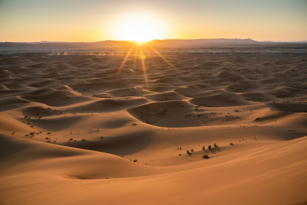 사막의 변화무쌍.jpg