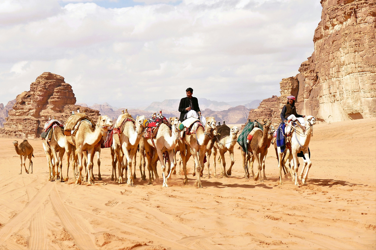 사막생활의 즐거움.jpg