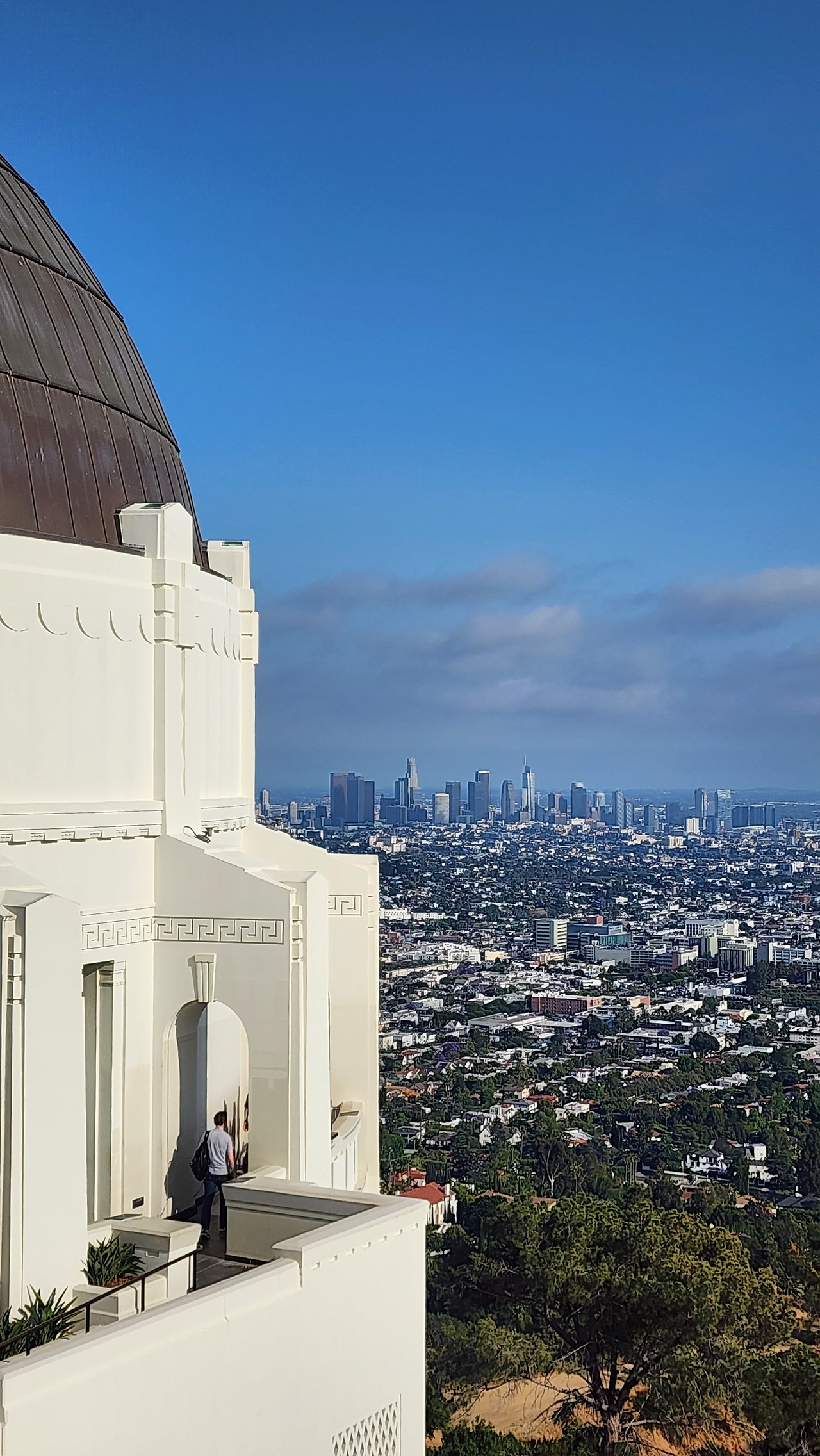 LA_그리피스천문대와 시내전경.jpg