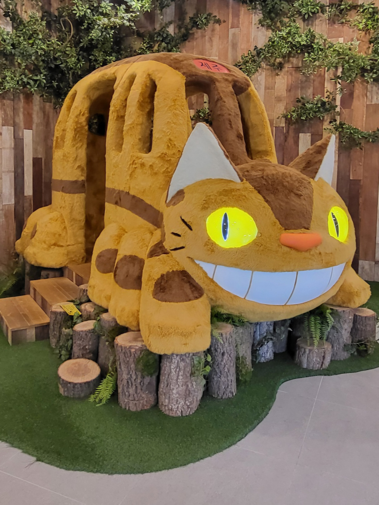 제주도 도토리숲 고양이버스.jpg