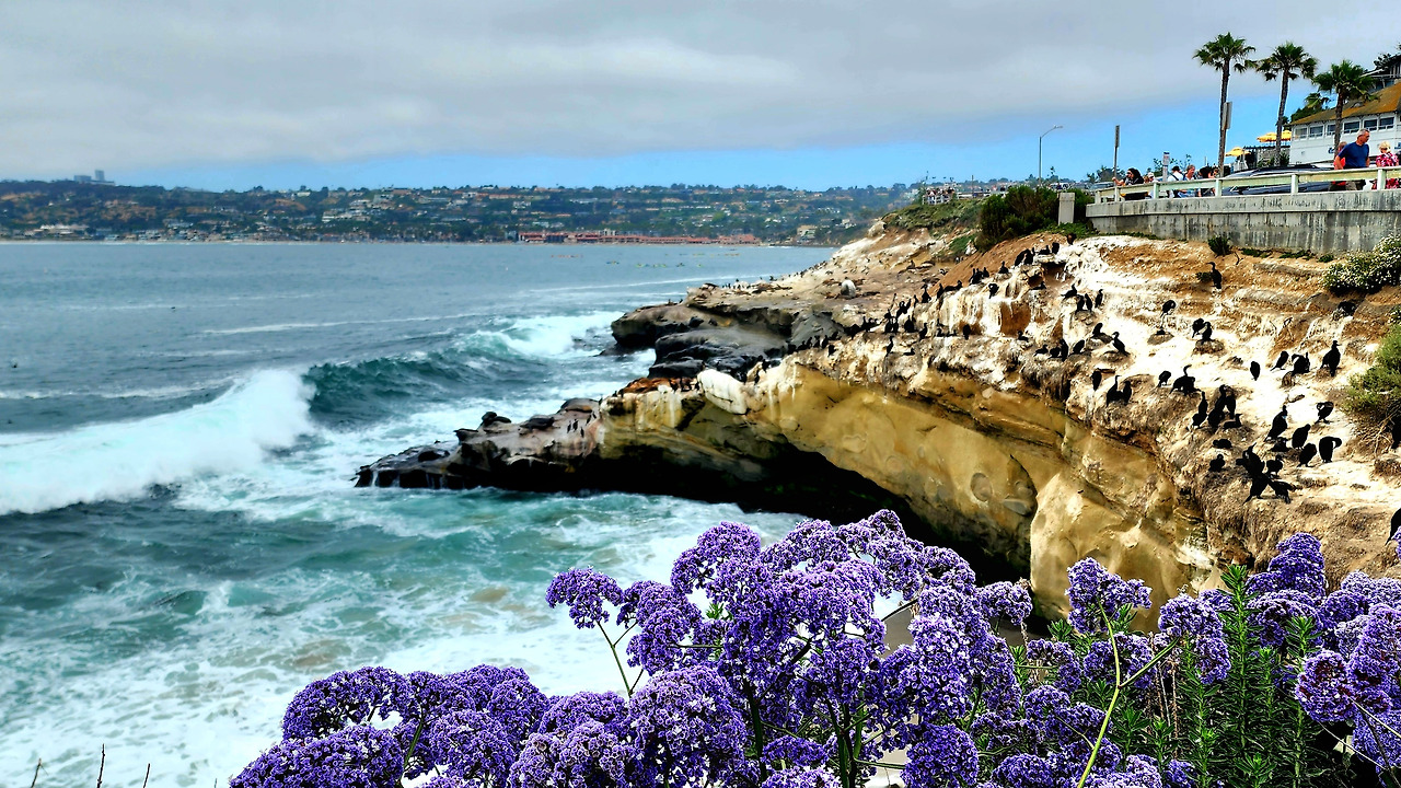 샌디에이고_라호야코브 전경.jpg