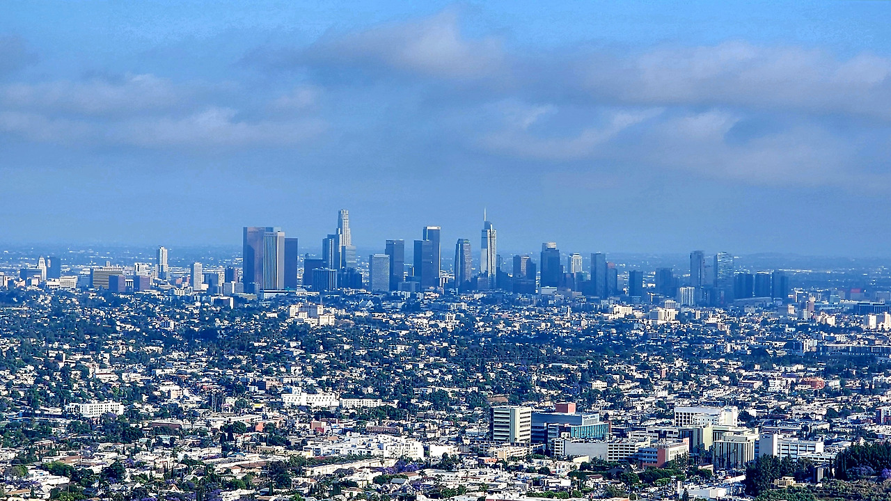 그리피스 전경3 도심.jpg