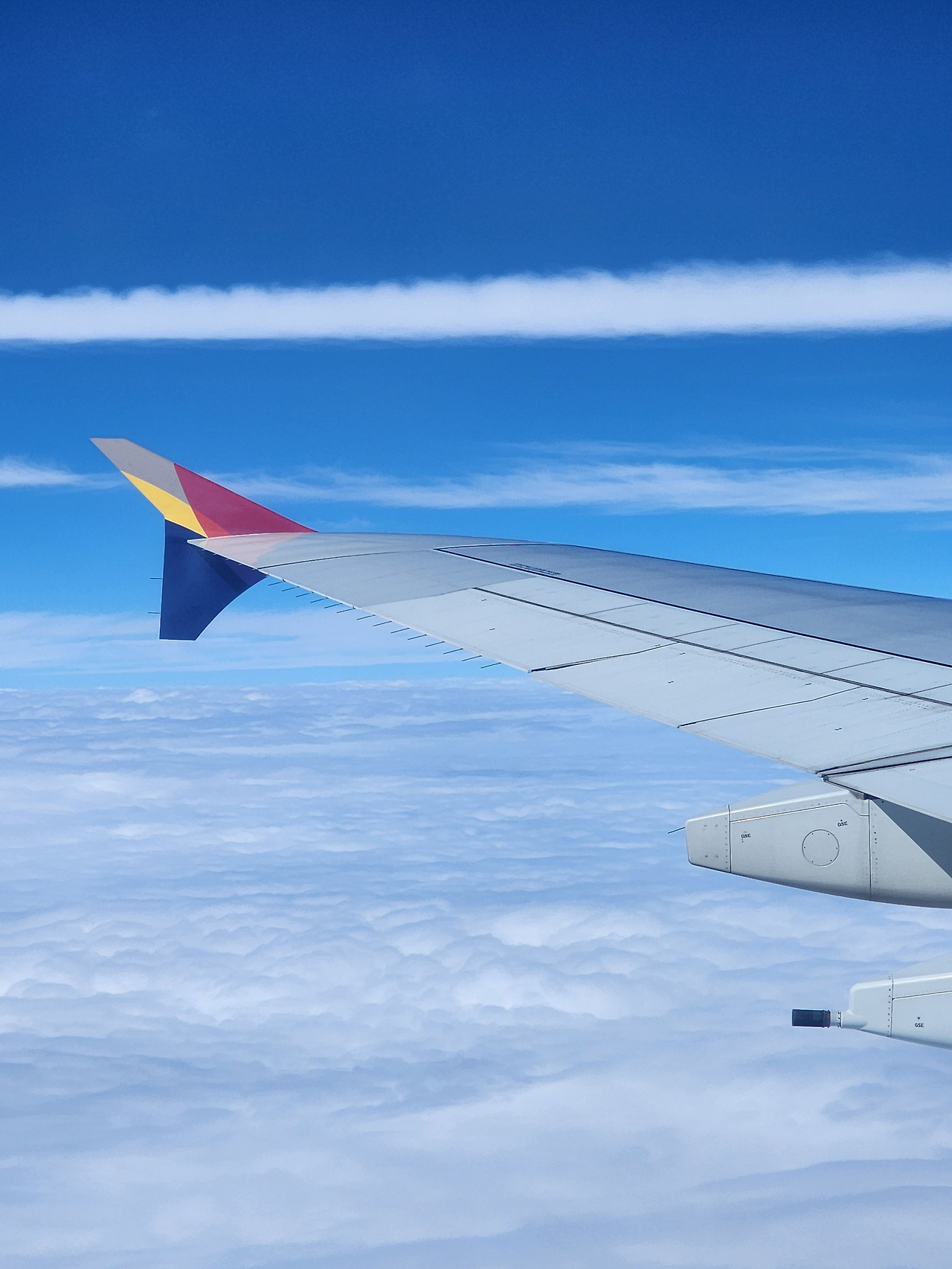 파란 지구_기내 사진.jpg