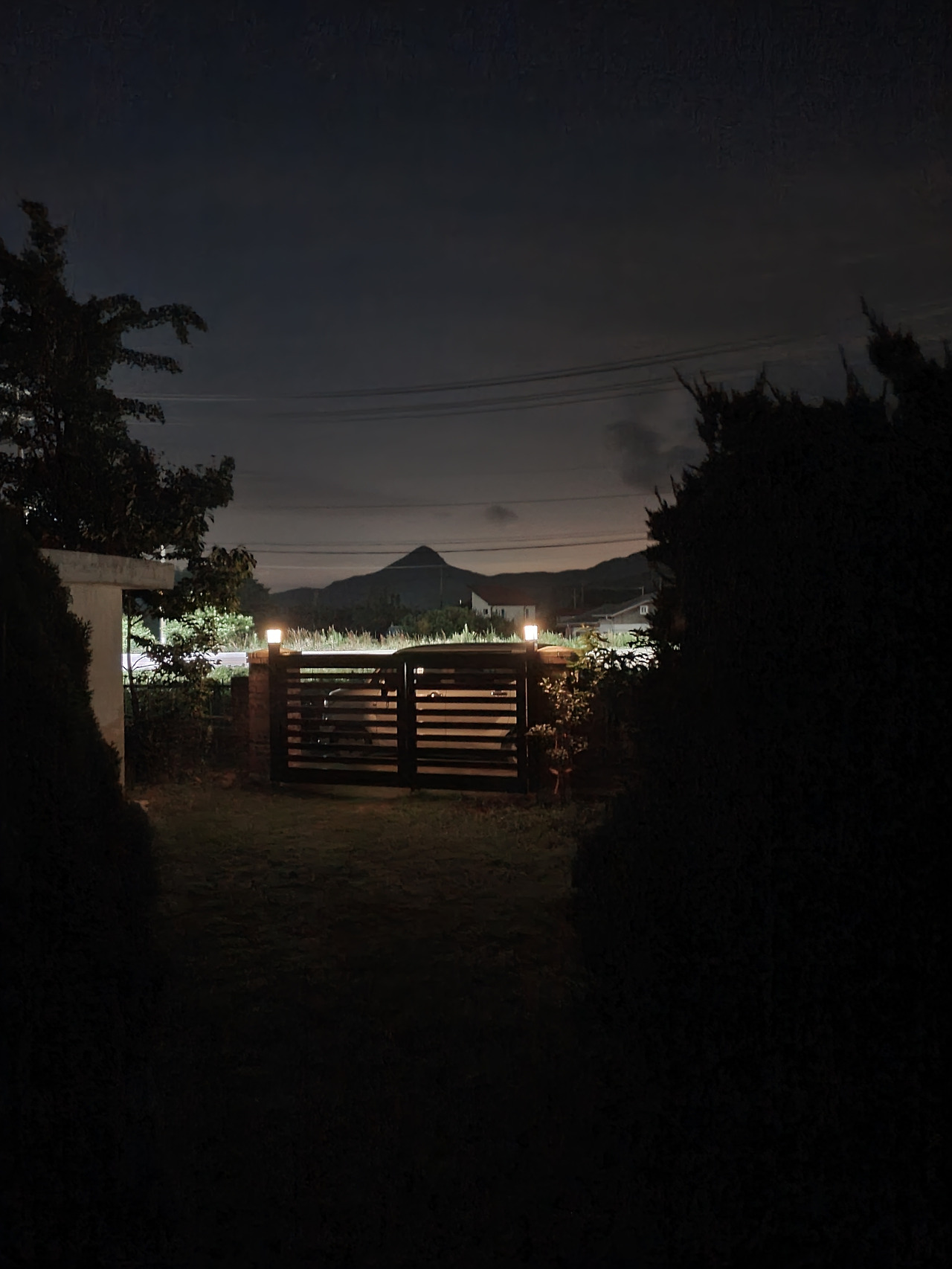 밤의 대문.jpg