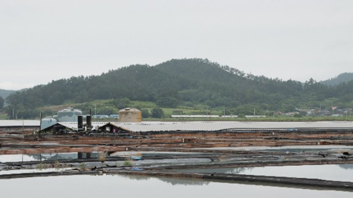 브런치 24편_01.jpg