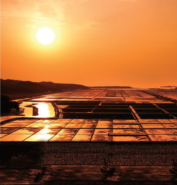 태평염전 노을(보정).jpg