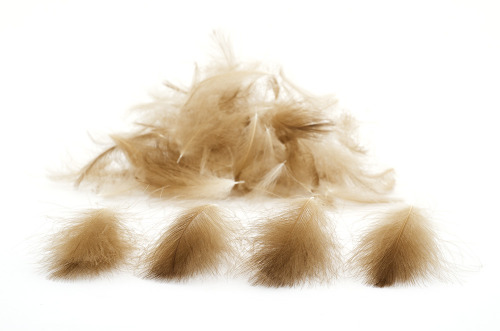 troutline-natural-brown-cdc-feathers.jpg