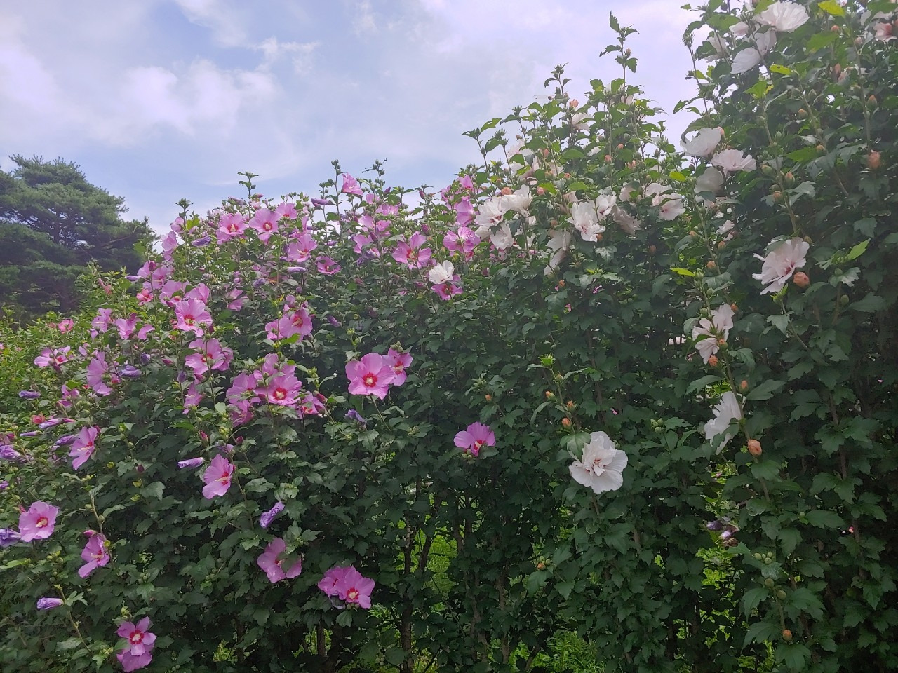 나의 이야기_사진_20190828_6.jpg