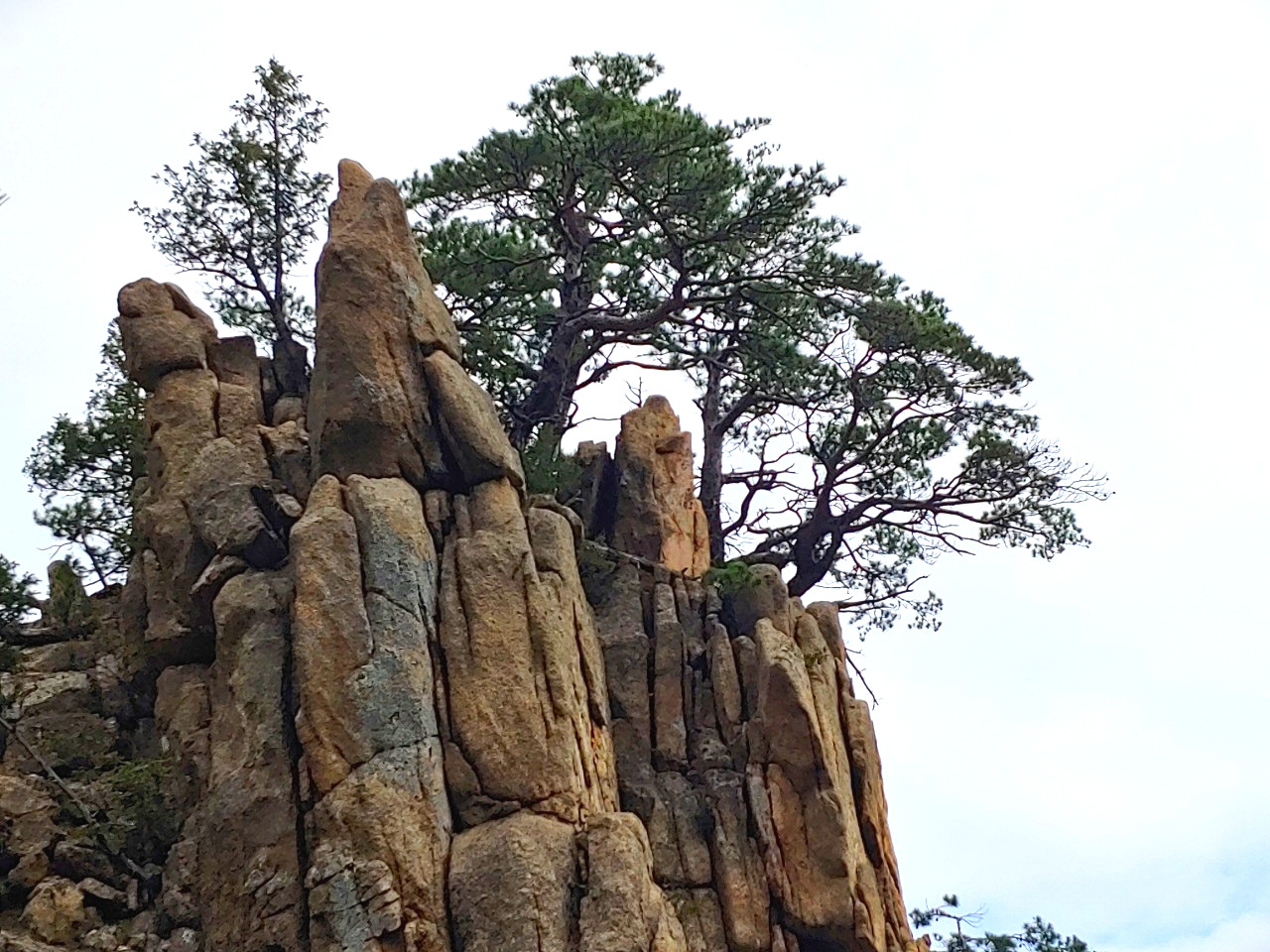 나의 이야기_사진_20191014_13.jpg