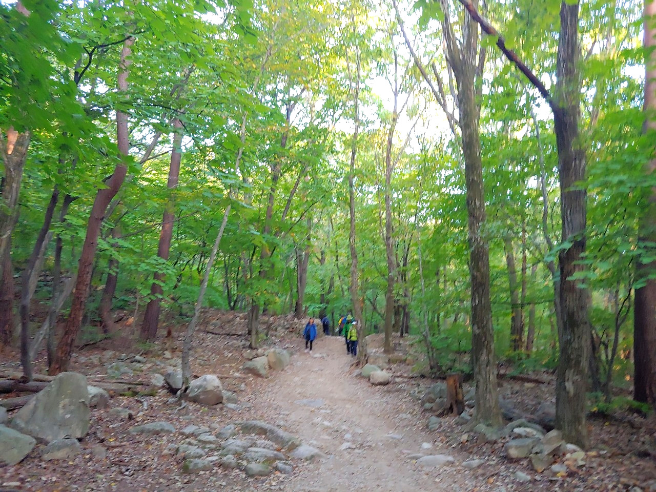 나의 이야기_사진_20191014_3.jpg