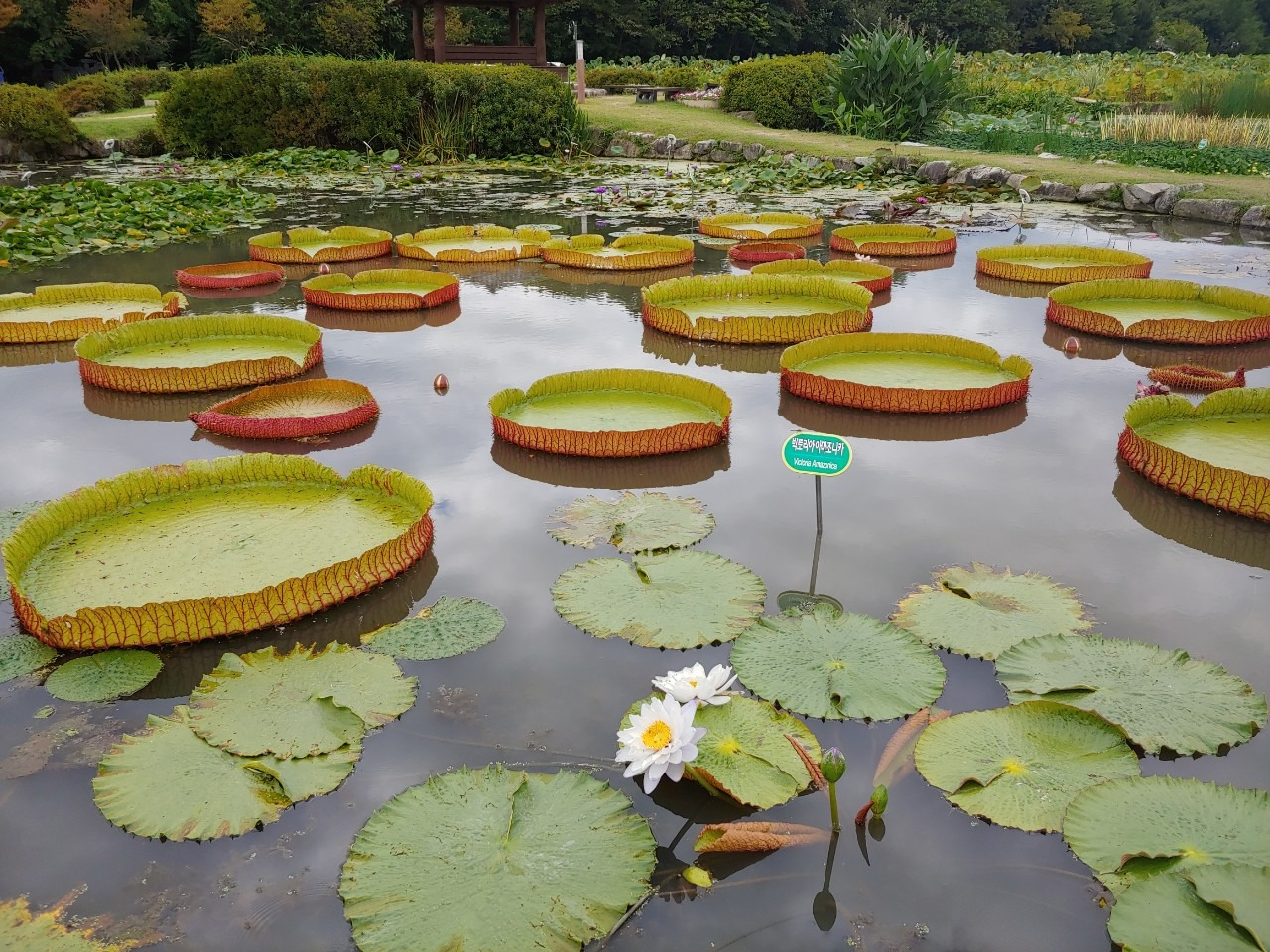 나의 이야기_사진_20190927_6.jpg