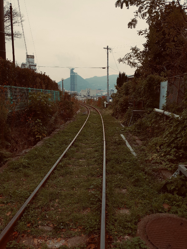 2018-11-26_13-09-39_0567 2.jpg