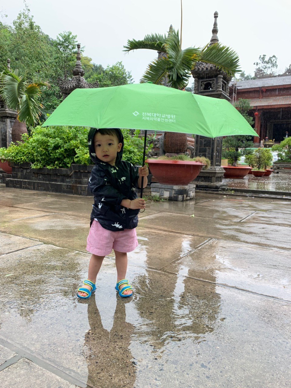 2019-01-18 02.33.43.jpg