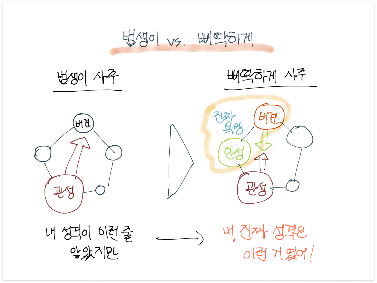 온라인 바카라