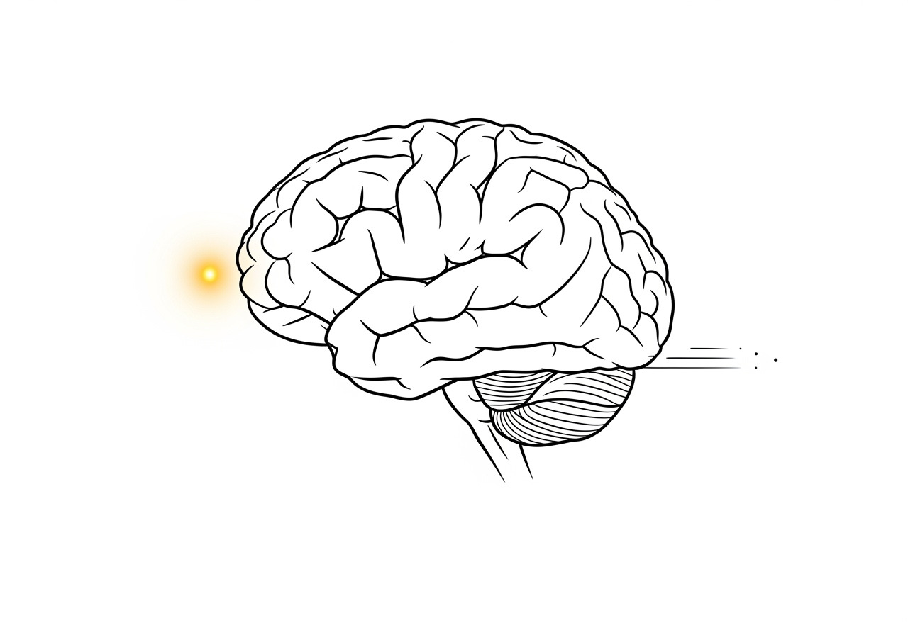 Image_fx - 2025-11-17T210333.362.jpg