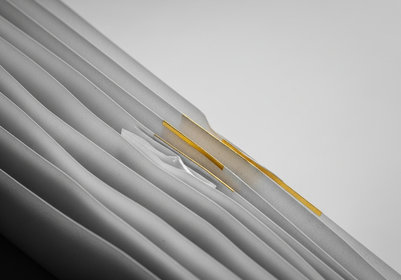 Image_fx - 2025-11-17T212159.144.jpg