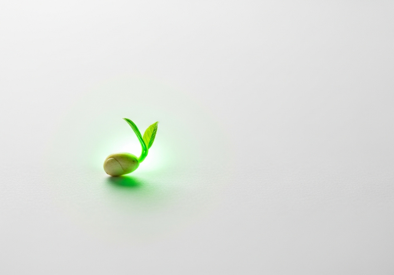 Image_fx - 2025-11-02T203656.908.jpg