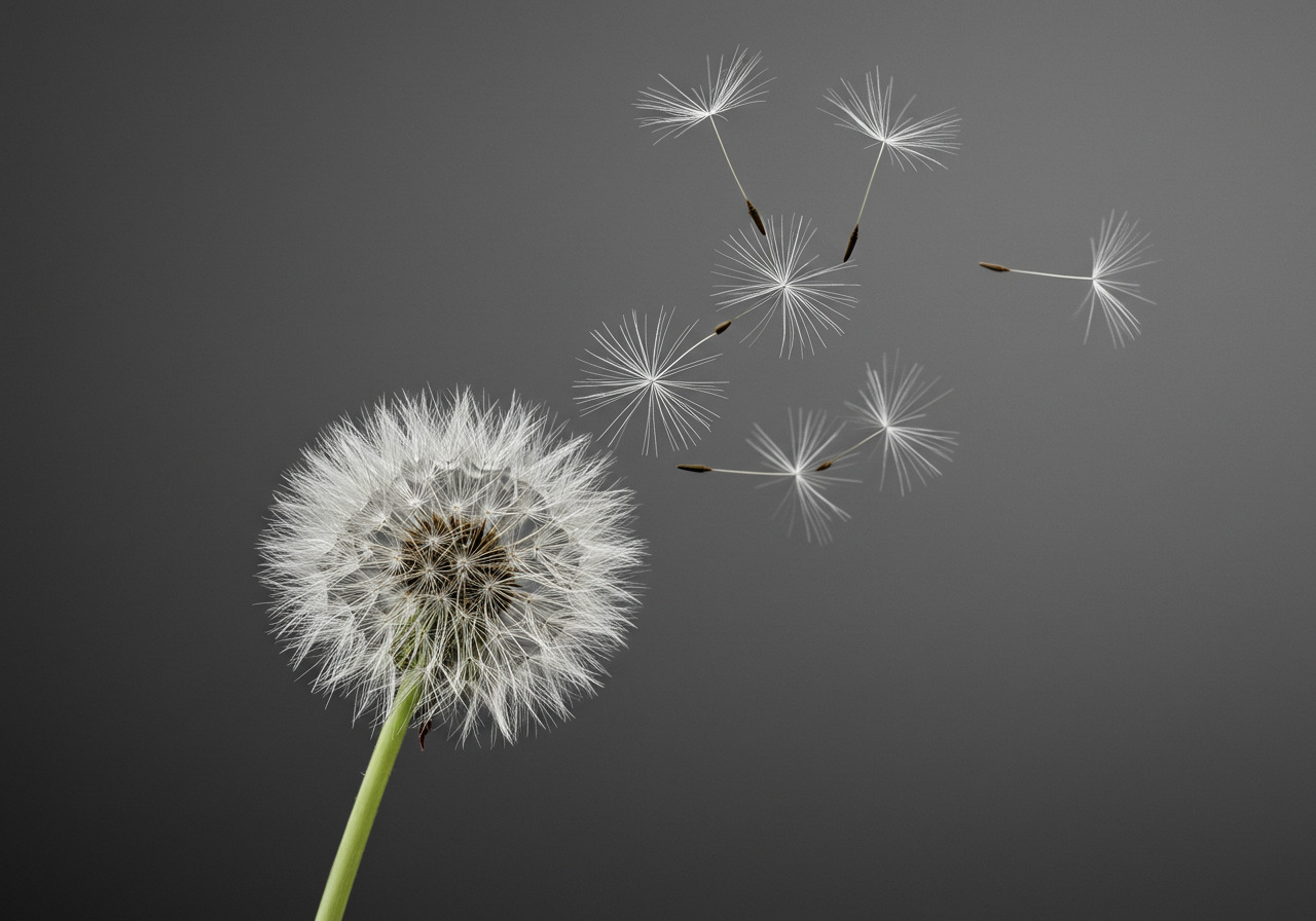 Image_fx - 2025-10-08T102943.409.jpg